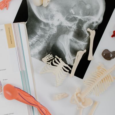 Knochendichtemessung